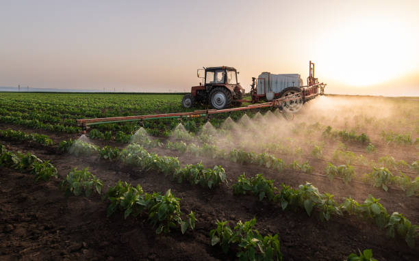 Best Pest Control for Businesses  in Abita Springs, LA