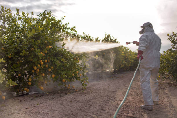 Best Ant Control Services  in Abita Springs, LA