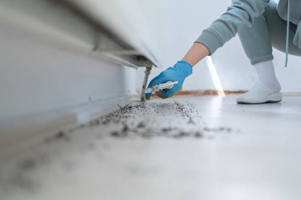 Best Insect Control  in Abita Springs, LA
