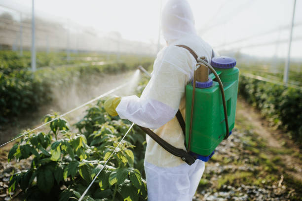 Best Ant Control Services  in Abita Springs, LA